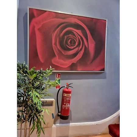 F304-Lovely 3Rd Flr Studio Fits 2 Near Hyde Park 런던 외부 사진