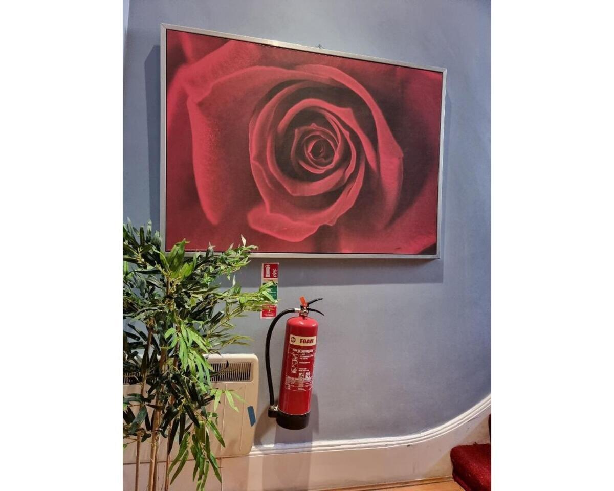 F304-Lovely 3Rd Flr Studio Fits 2 Near Hyde Park 런던 외부 사진